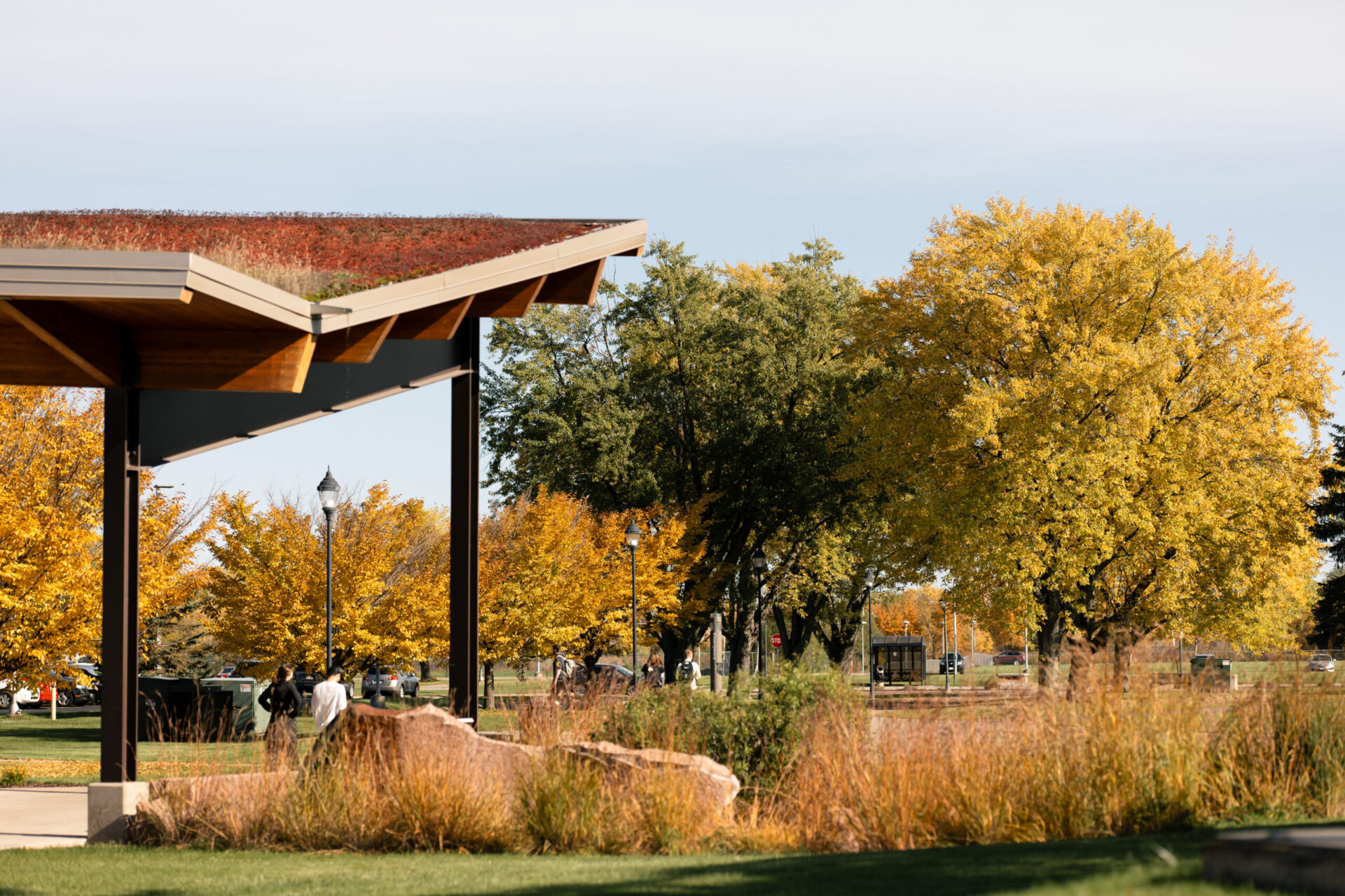 A park scene in autumn with yellow-leaved trees, ornamental grasses, and a modern shelter with a green roof. Two people stand near large rocks under the shelter, enjoying the sunny day.