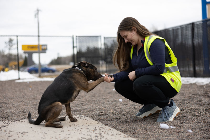 A woman wearing a yellow safety vest kneels outside on gravel and smiles while shaking hands with a brown and black dog, showcasing the bond that can grow through academics and practical experience. A fenced area and snowy patches are visible in the background.