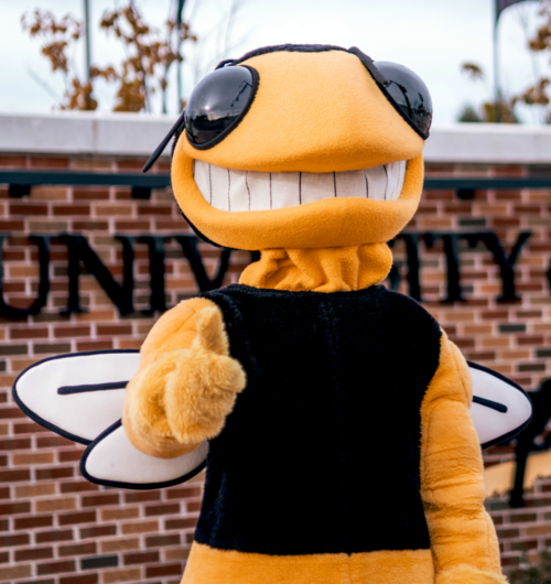 A person in a yellow and black bee mascot costume with large white wings and a wide toothy grin stands in front of a brick wall with partially visible black lettering.