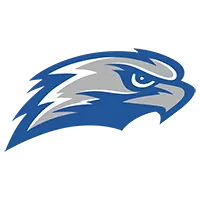 Falcon_Spiritmark_4C