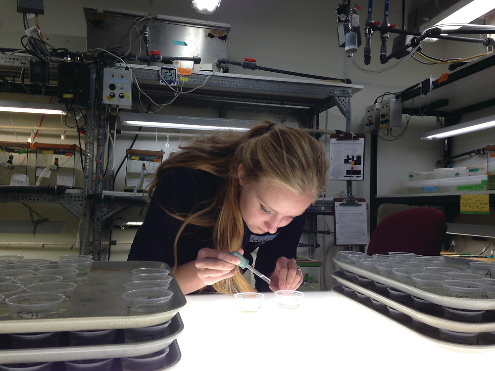 A person with long blonde hair is using a pipette to transfer liquid into small cups on a tray in a laboratory, surrounded by scientific equipment and shelves.