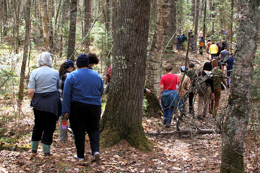 A group of people walk along a forest trail surrounded by trees and fallen leaves.