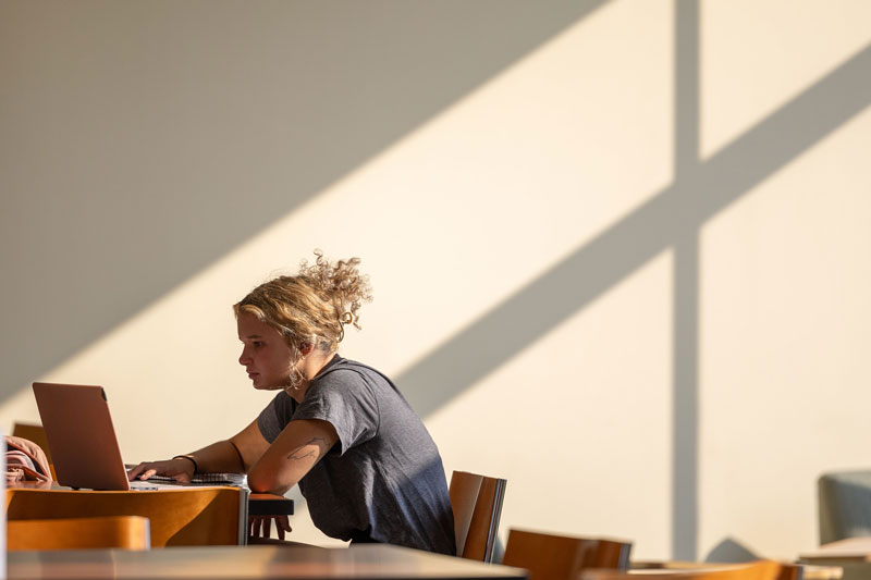 A person with curly hair works on a laptop at a table in a sunlit room, possibly pursuing one of UW-Superior’s online degrees. Large shadows from window frames cross the wall behind them. The scene appears quiet and focused.