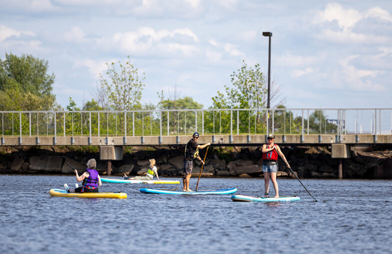 Four people paddleboarding on a calm river near a bridge on a sunny day.