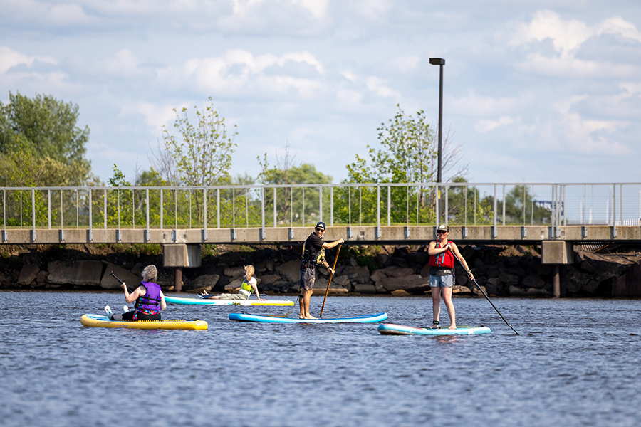 Four people paddleboarding on a calm river near a bridge on a sunny day.