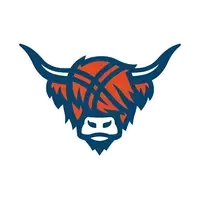 Logo of a stylized highland cows head with long horns. The cow has orange hair covering its forehead and blue outlines, with a neutral expression on its face. The background is transparent.