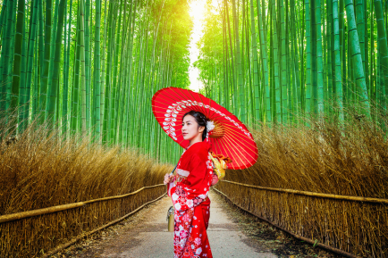 UW-Superior Alumni Traveling: Woman in red kimono holds umbrella on a bamboo forest path.