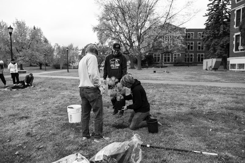 Three people, inspired by environmental science, plant a small tree on grass near city buildings.