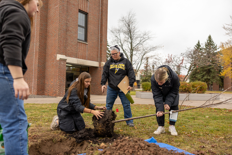 Three people work together to plant a young tree on a lawn near a brick building; one person holds the tree, another fills the hole with soil, and a third observes while holding a clipboard.