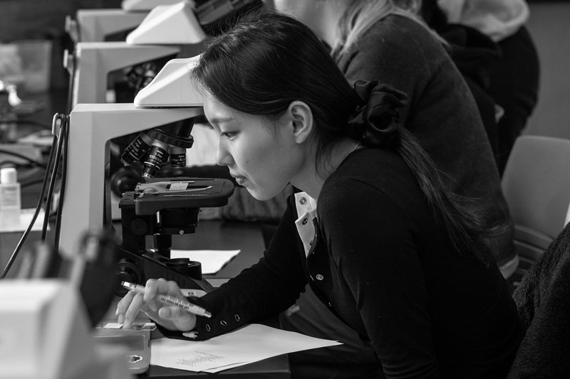 Woman sits at a desk, studying cell biology with a microscope and writing notes in a lab setting.