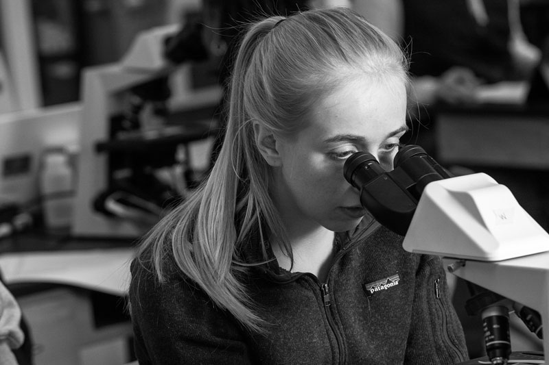 A person explores chemistry under a microscope in a laboratory setting.