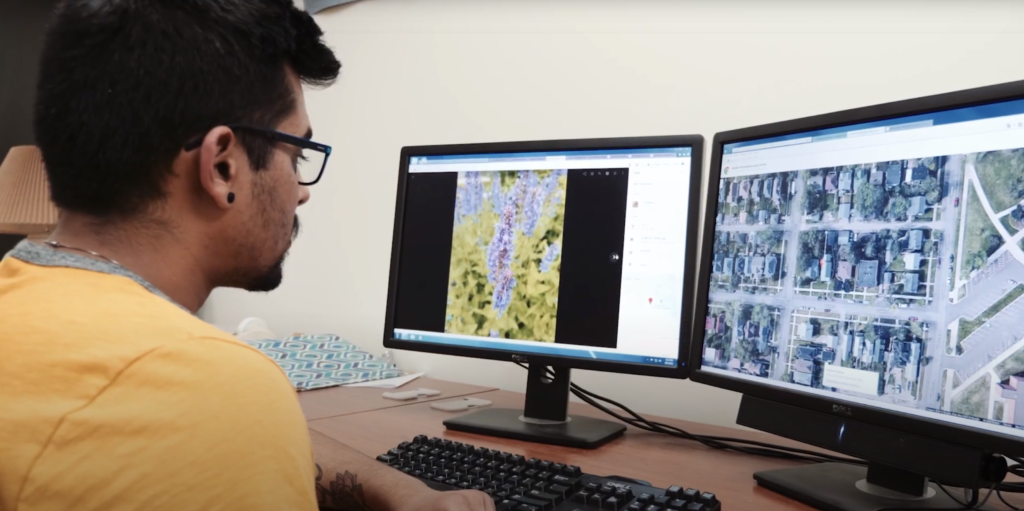 Student looking at maps on desktop