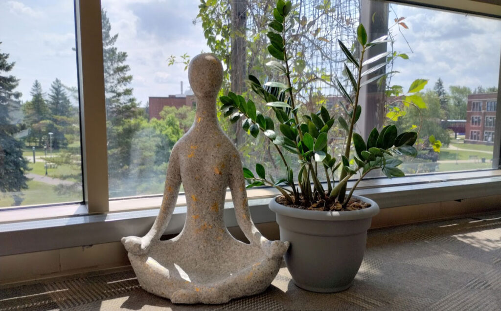 A stone statue in a meditative pose sits next to a green potted plant on the carpeted floor by a large window at the Pruitt Center for Mindfulness and Well-Being, with trees and buildings visible outside in bright daylight.